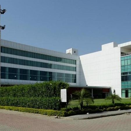 Amer Greens Dip Bagian luar foto